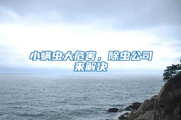 小螨虫大危害，除虫公司来解决