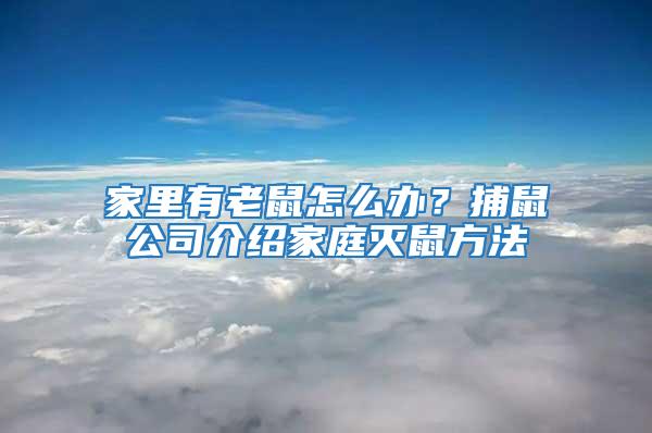 家里有老鼠怎么办？捕鼠公司介绍家庭灭鼠方法