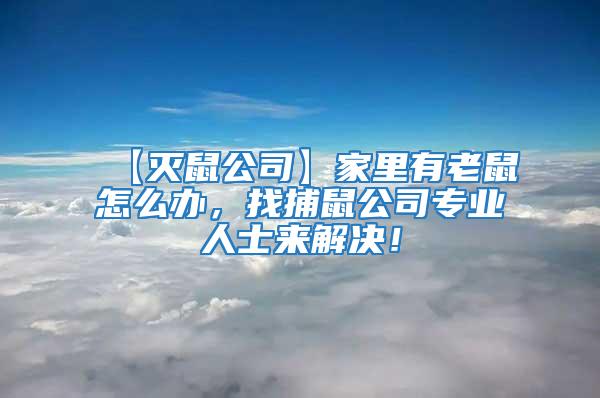 【灭鼠公司】家里有老鼠怎么办，找捕鼠公司专业人士来解决！