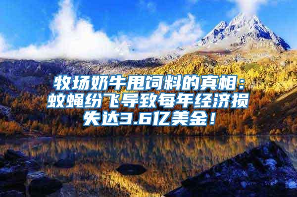 牧场奶牛甩饲料的真相：蚊蝇纷飞导致每年经济损失达3.6亿美金！