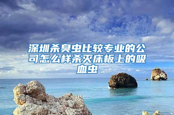 深圳杀臭虫比较专业的公司怎么样杀灭床板上的吸血虫