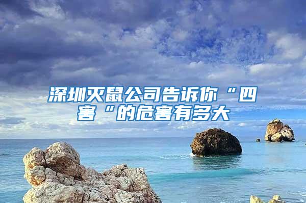 深圳灭鼠公司告诉你“四害“的危害有多大