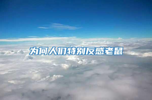 为何人们特别反感老鼠