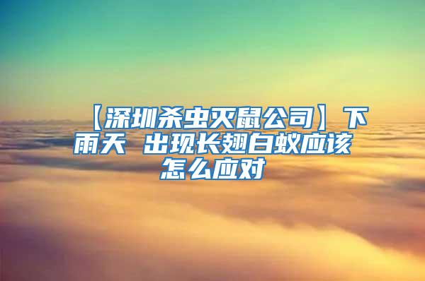 【深圳杀虫灭鼠公司】下雨天 出现长翅白蚁应该怎么应对