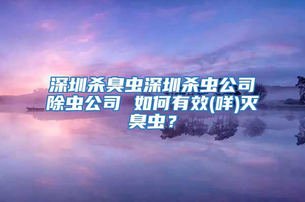 深圳杀臭虫深圳杀虫公司除虫公司 如何有效(咩)灭臭虫？