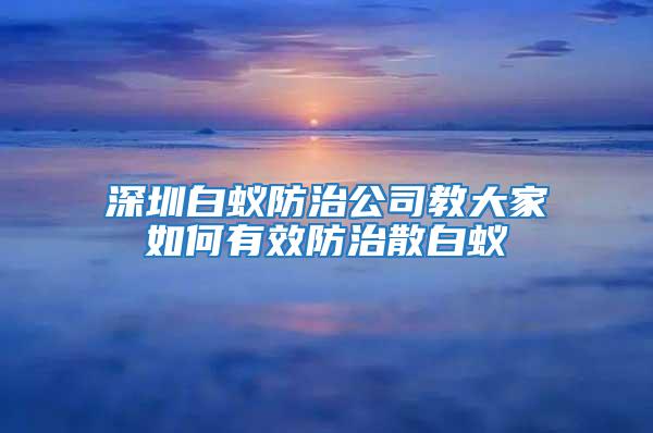 深圳白蚁防治公司教大家如何有效防治散白蚁