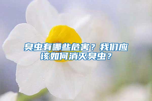 臭虫有哪些危害？我们应该如何消灭臭虫？