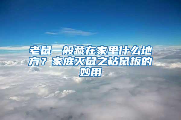 老鼠一般藏在家里什么地方？家庭灭鼠之粘鼠板的妙用