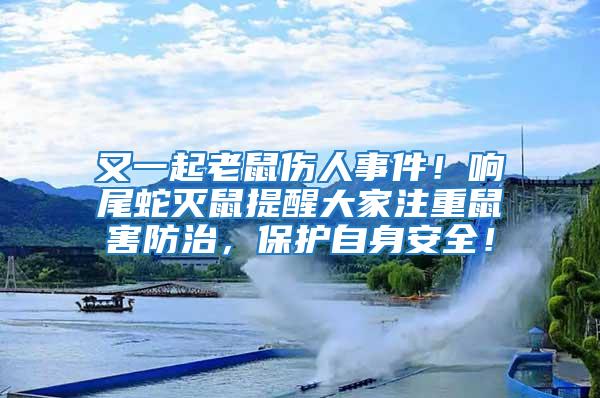 又一起老鼠伤人事件！响尾蛇灭鼠提醒大家注重鼠害防治，保护自身安全！