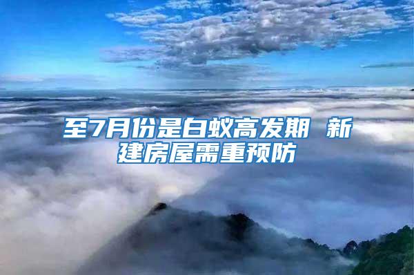 至7月份是白蚁高发期 新建房屋需重预防