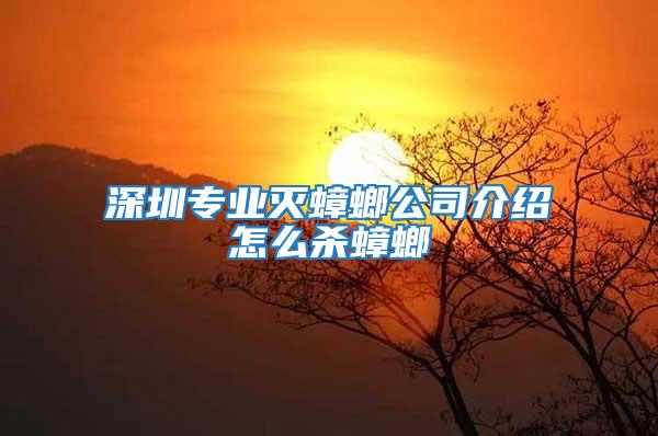 深圳专业灭蟑螂公司介绍怎么杀蟑螂