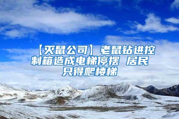 【灭鼠公司】老鼠钻进控制箱造成电梯停摆 居民只得爬楼梯