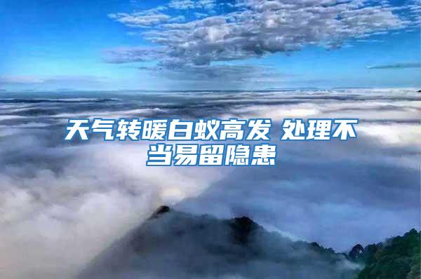 天气转暖白蚁高发　处理不当易留隐患