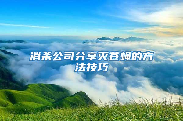 消杀公司分享灭苍蝇的方法技巧