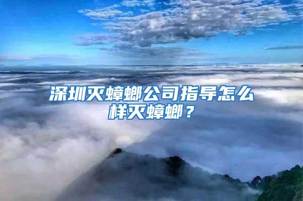 深圳灭蟑螂公司指导怎么样灭蟑螂？