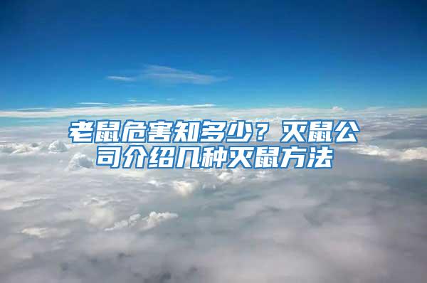 老鼠危害知多少？灭鼠公司介绍几种灭鼠方法