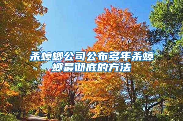 杀蟑螂公司公布多年杀蟑螂最彻底的方法