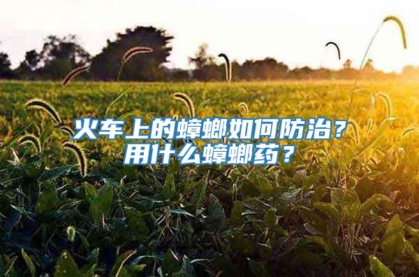 火车上的蟑螂如何防治？用什么蟑螂药？