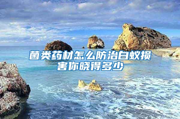 菌类药材怎么防治白蚁损害你晓得多少