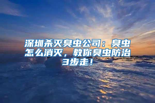 深圳杀灭臭虫公司：臭虫怎么消灭，教你臭虫防治3步走！