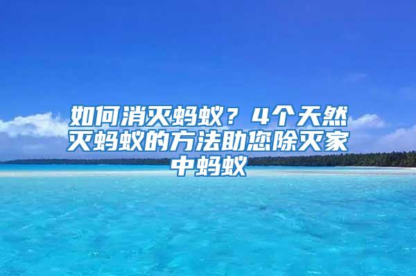 如何消灭蚂蚁？4个天然灭蚂蚁的方法助您除灭家中蚂蚁