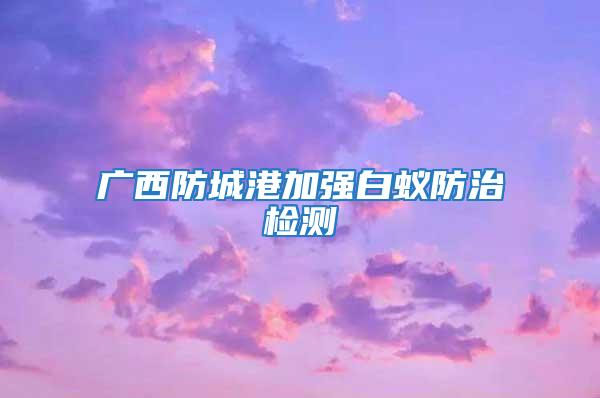 广西防城港加强白蚁防治检测