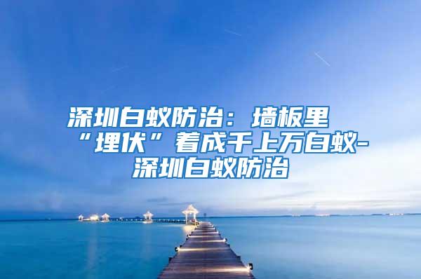 深圳白蚁防治：墙板里“埋伏”着成千上万白蚁-深圳白蚁防治