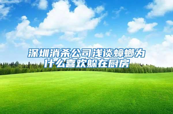 深圳消杀公司浅谈蟑螂为什么喜欢躲在厨房