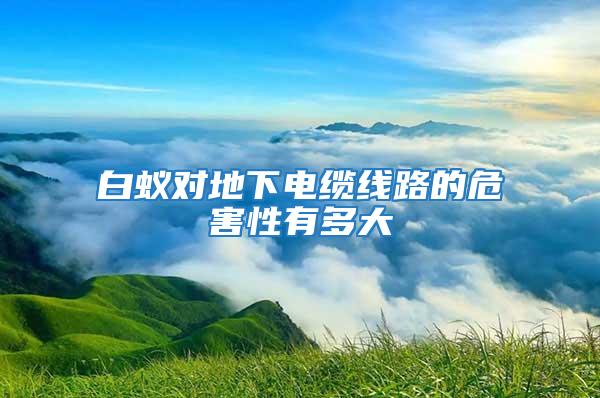 白蚁对地下电缆线路的危害性有多大