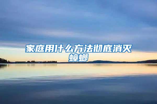 家庭用什么方法彻底消灭蟑螂