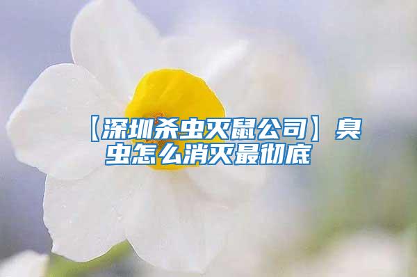 【深圳杀虫灭鼠公司】臭虫怎么消灭最彻底