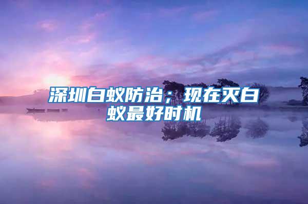 深圳白蚁防治；现在灭白蚁最好时机