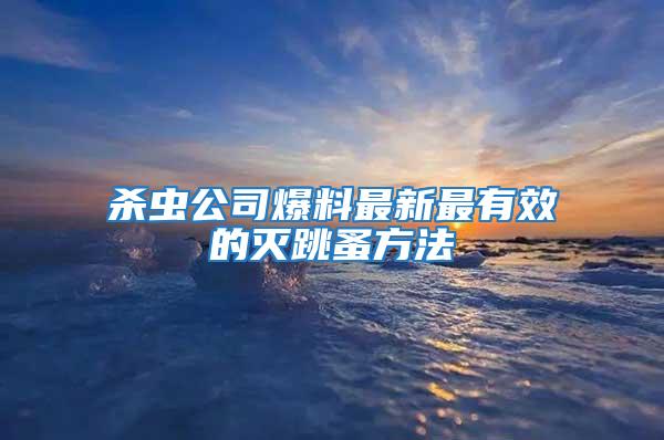 杀虫公司爆料最新最有效的灭跳蚤方法