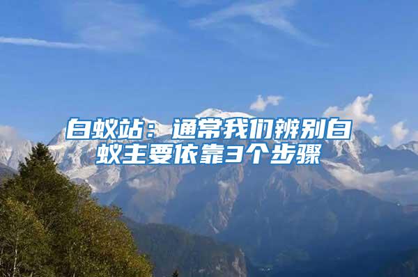 白蚁站：通常我们辨别白蚁主要依靠3个步骤