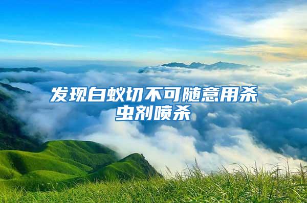 发现白蚁切不可随意用杀虫剂喷杀