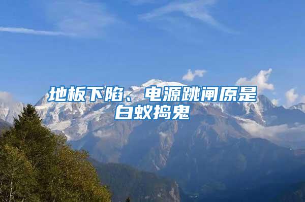 地板下陷、电源跳闸原是白蚁捣鬼