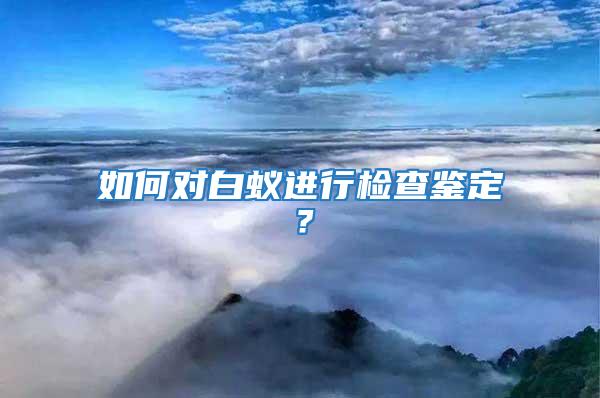 如何对白蚁进行检查鉴定？