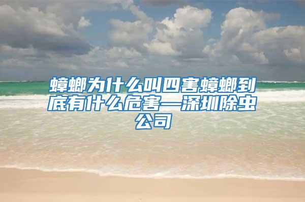 蟑螂为什么叫四害蟑螂到底有什么危害—深圳除虫公司