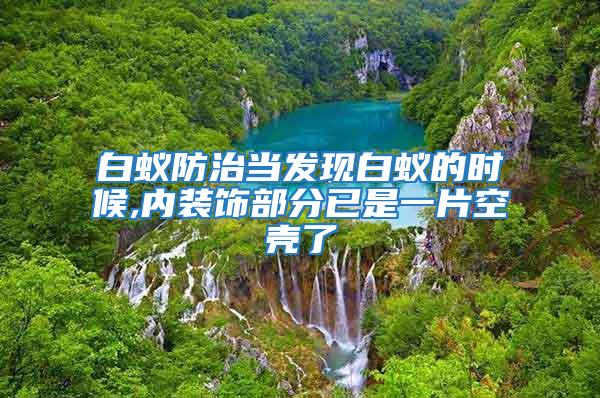 白蚁防治当发现白蚁的时候,内装饰部分已是一片空壳了