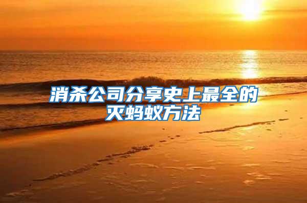 消杀公司分享史上最全的灭蚂蚁方法