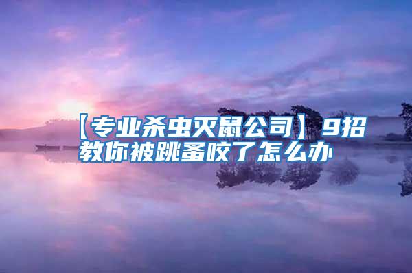 【专业杀虫灭鼠公司】9招教你被跳蚤咬了怎么办