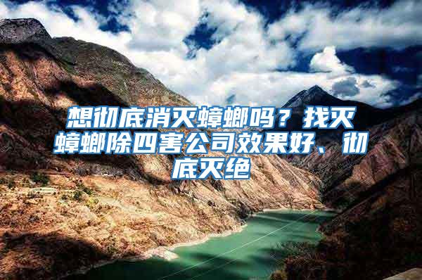 想彻底消灭蟑螂吗？找灭蟑螂除四害公司效果好、彻底灭绝