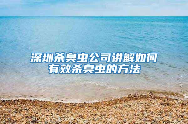 深圳杀臭虫公司讲解如何有效杀臭虫的方法