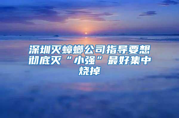 深圳灭蟑螂公司指导要想彻底灭“小强”最好集中烧掉