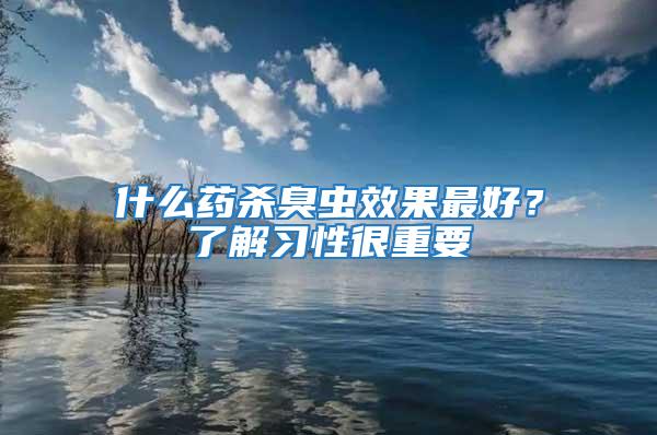 什么药杀臭虫效果最好？了解习性很重要