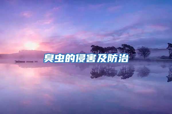 臭虫的侵害及防治