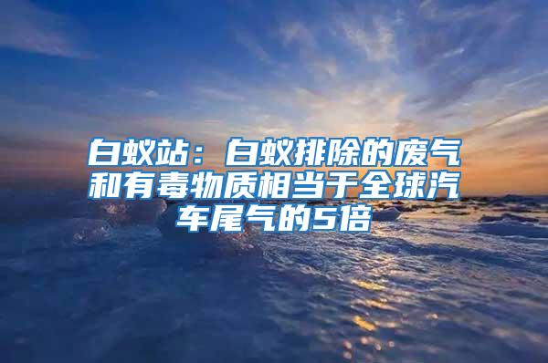 白蚁站：白蚁排除的废气和有毒物质相当于全球汽车尾气的5倍