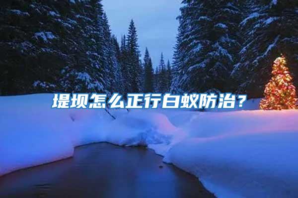 堤坝怎么正行白蚁防治？