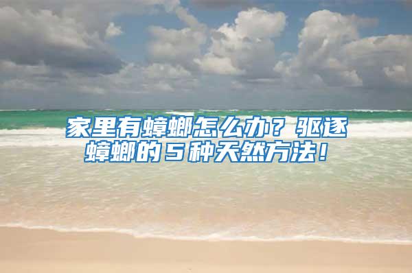家里有蟑螂怎么办？驱逐蟑螂的５种天然方法！