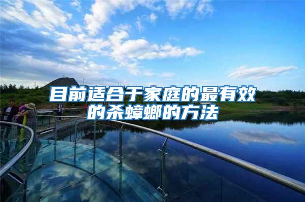 目前适合于家庭的最有效的杀蟑螂的方法